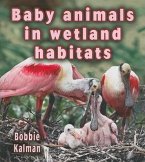 Baby Animals in Wetland Habitats