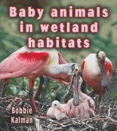 Baby Animals in Wetland Habitats - Kalman, Bobbie