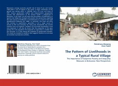 The Pattern of Livelihoods in a Typical Rural Village