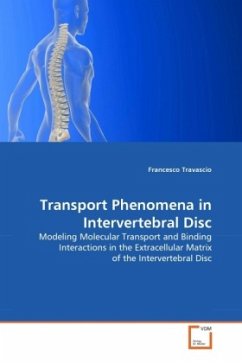 Transport Phenomena in Intervertebral Disc