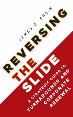 Reversing the Slide - Shein, James B.