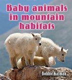 Baby Animals in Mountain Habitats