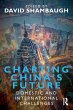 Charting China's Future - Bild 1