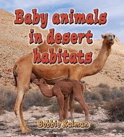 Baby Animals in Desert Habitats - Kalman, Bobbie