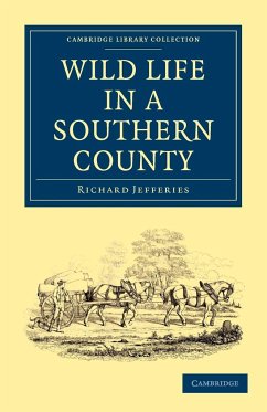 Wild Life in a Southern County - Jefferies, Richard