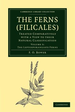 The Ferns (Filicales) - Bower, F. O.