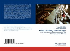 Dried Distillery Yeast Sludge