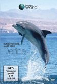 Ultimate Guide - Alles über Delfine - Discovery World