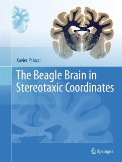 The Beagle Brain in Stereotaxic Coordinates - Palazzi, Xavier