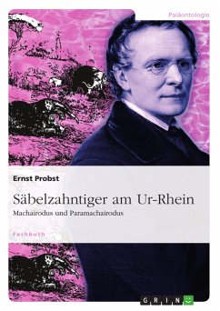 Säbelzahntiger am Ur-Rhein - Probst, Ernst