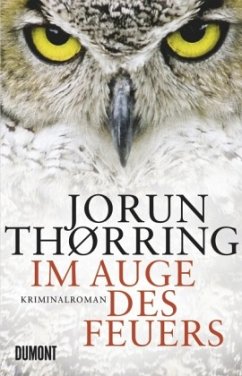 Im Auge des Feuers / Aslak Eira Bd.2 - Thørring, Jorun