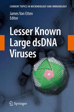 Cover Lesser Known Large dsDNA Viruses