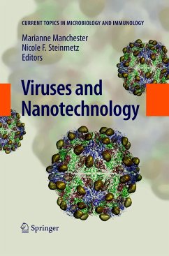 Viruses and Nanotechnology