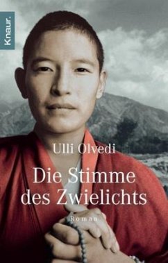 Cover Die Stimme des Zwielichts