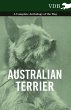 Australian Terrier - A Complete... - Bild 1