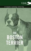 The Boston Terrier - A Complete Anthology of the Dog -