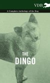 The Dingo - A Complete Anthology of the Dog -