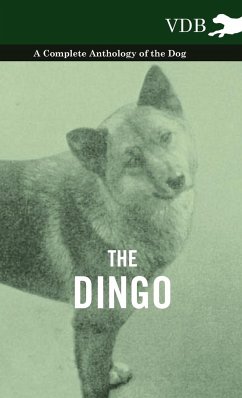 The Dingo - A Complete Anthology of the Dog - - Various