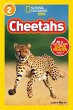 Cheetahs (National Geographic Kids... - Bild 1