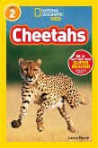 Cheetahs