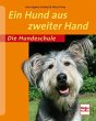 Ein Hund aus zweiter Hand - Bild 1