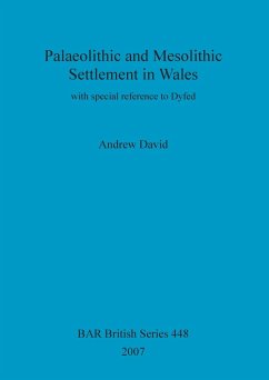 Palaeolithic and Mesolithic Settlement in Wales - David, Andrew