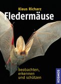 Fledermäuse