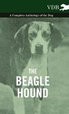 The Beagle Hound - A Complete Anthology of the Dog -