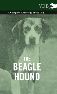 The Beagle Hound - A Complete Anthology of the Dog - - Various