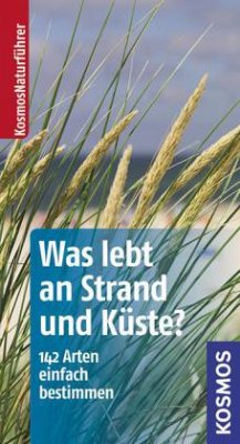 Was lebt an Strand und Küste? - Wilhelmsen, Ute