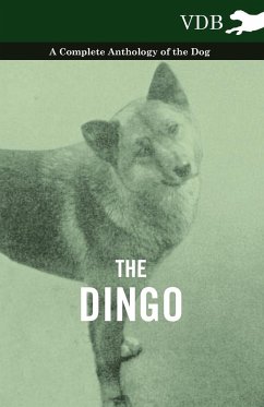 The Dingo - A Complete Anthology of the Dog - - Various