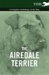 The Airedale Terrier - A Complete... - Bild 1