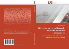 Détection des conditions de visibilité par vision embarquée - Hautière, Nicolas