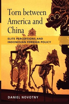 Torn Between America and China - Novotny, Daniel