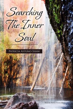 Searching the Inner Soul - Astuno-Shaw, Patricia