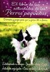 El libro de las actividades de los perros pequeños : diversión y juegos para que su perro esté en forma