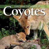 Exploring the World of Coyotes