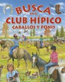 Busca En El Club Hípico Caballos Y Ponis