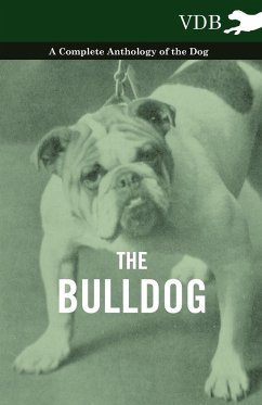The Bulldog - A Complete Anthology of the Dog - - Various