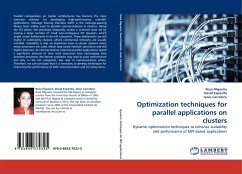 Optimization techniques for parallel applications on clusters