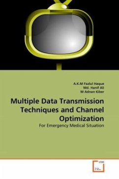 Multiple Data Transmission Techniques and Channel Optimization