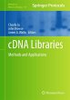 cDNA Libraries - Bild 1