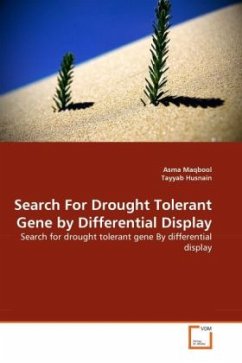 Search For Drought Tolerant Gene by Differential Display - Maqbool, Asma;Husnain, Tayyab