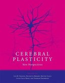 Cerebral Plasticity: New Perspectives