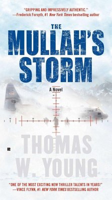 The Mullah's Storm - Young, Tom