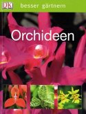 Orchideen