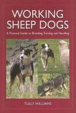 Working Sheep Dogs