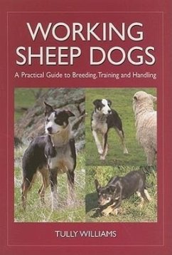 Working Sheep Dogs - Williams, Tully