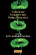 Turbulence Structure and Vortex Dynamics - Bild 1