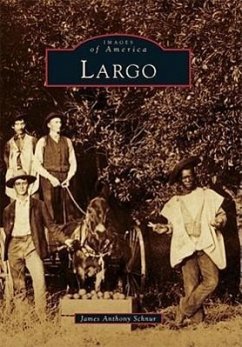 Largo - Schnur, James Anthony